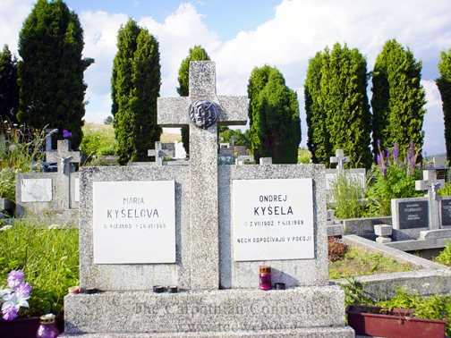 Cemetery in Plavnica
